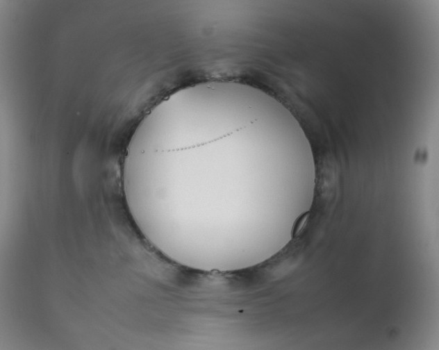 X0000112210523200908211521