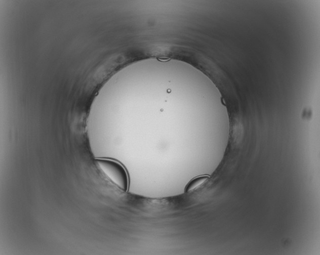 X0000112210525200908211521