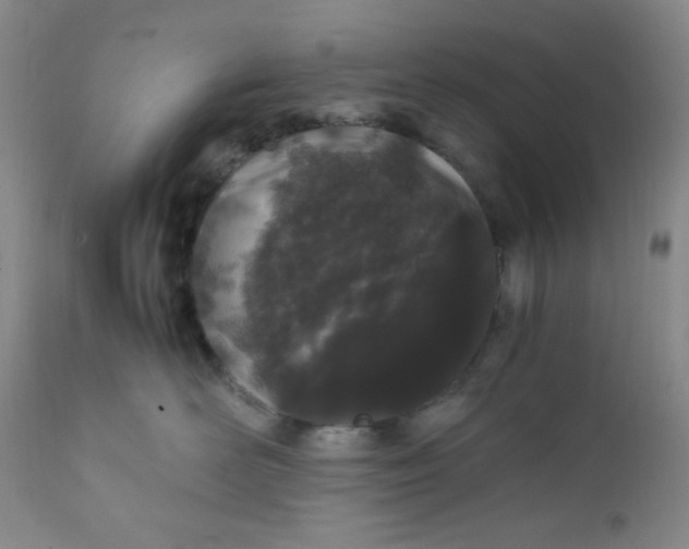 X0000112210526200908211521