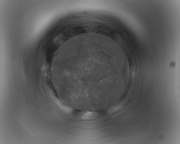 X0000112210527200908211521