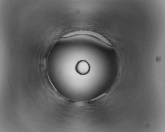 X0000112210528200908211521