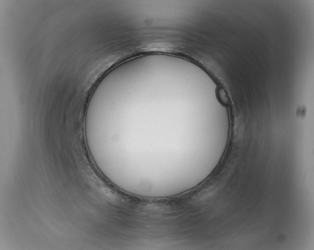 X0000112210529200908211520