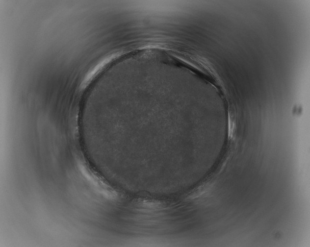 X0000112210531200908211520