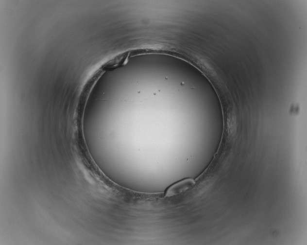 X0000112210532200908211520