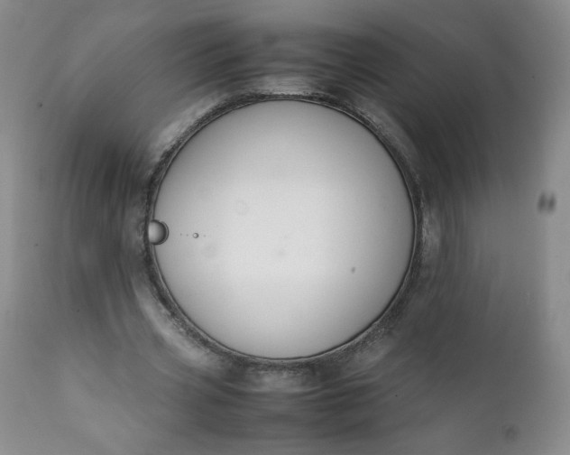 X0000112210533200908211520