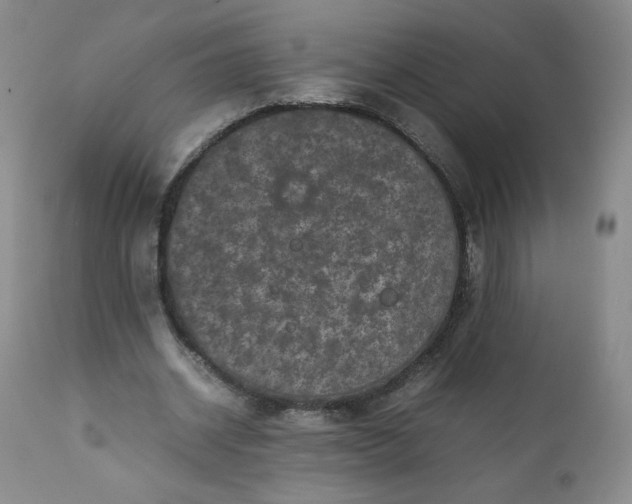 X0000112210534200908211520