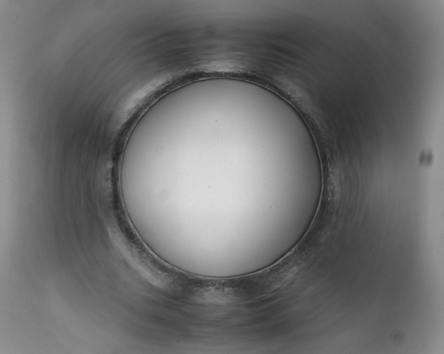 X0000112210535200908211520