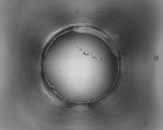 X0000112210536200908211520