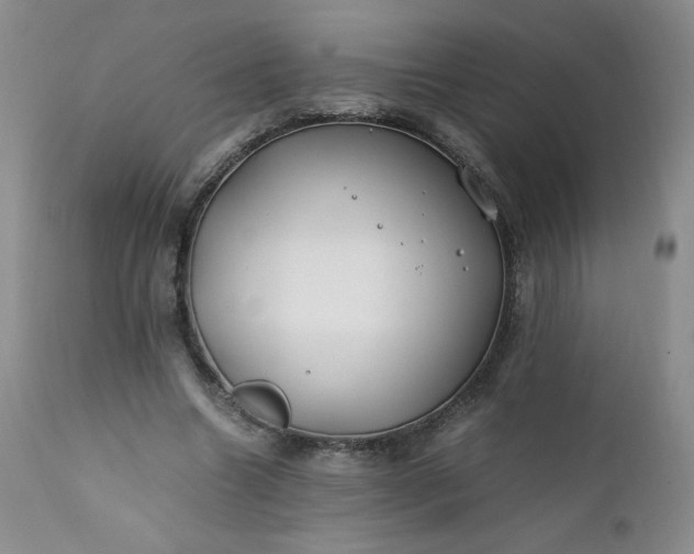 X0000112210538200908211520