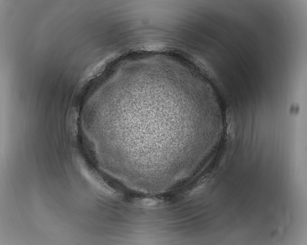 X0000112210542200908211520