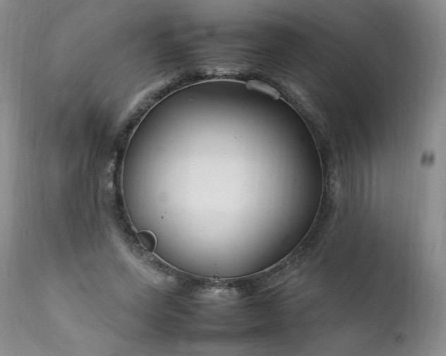 X0000112210543200908211520