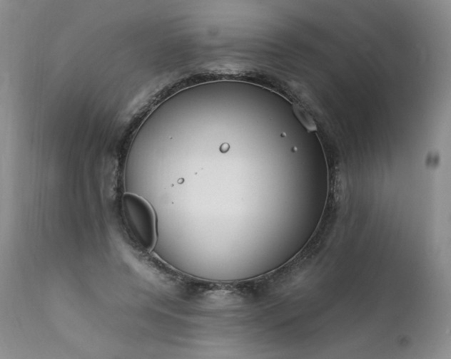 X0000112210544200908211520