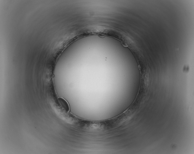 X0000112210546200908211521