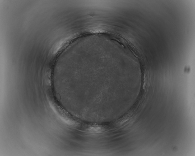 X0000112210547200908211521