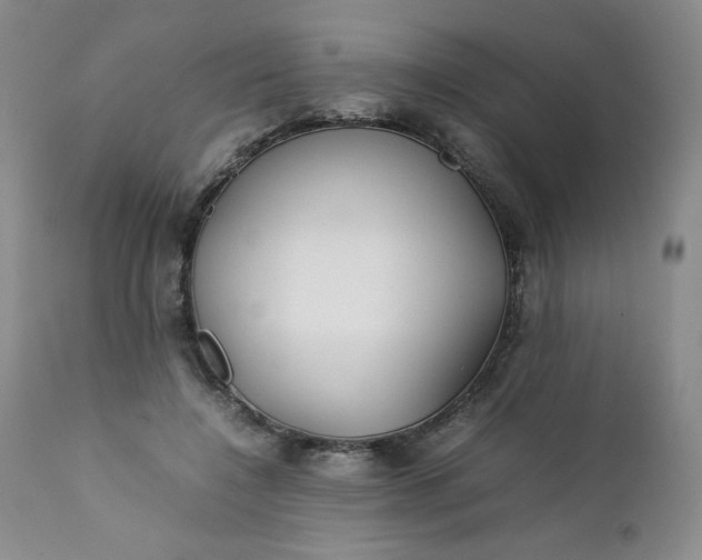 X0000112210548200908211521