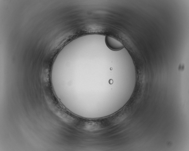 X0000112210549200908211521