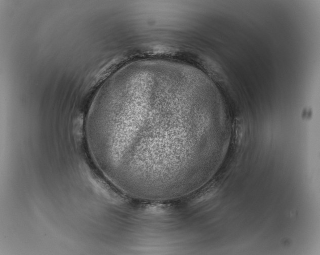 X0000112210550200908211521