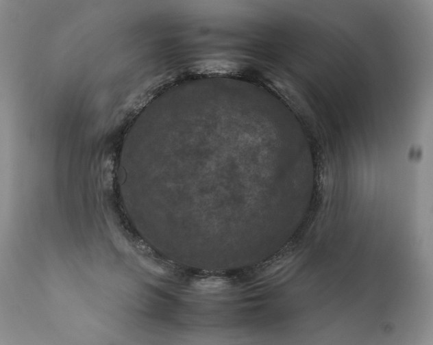 X0000112210551200908211521