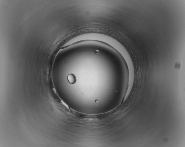 X0000112210552200908211521