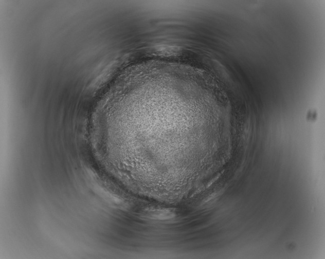 X0000112210553200908211521