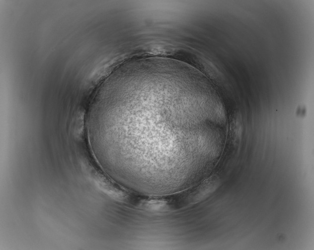 X0000112210554200908211521