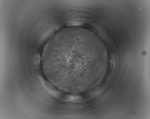 X0000112210555200908211521