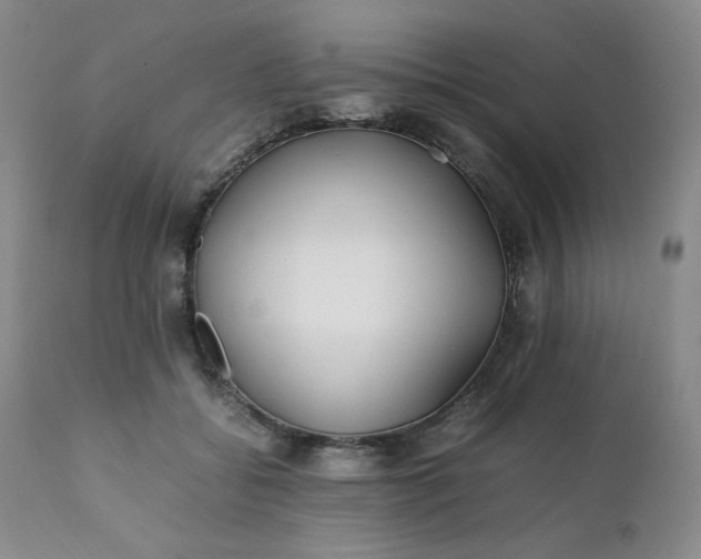 X0000112210556200908211521