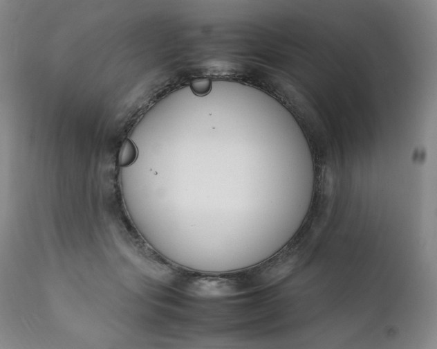 X0000112210557200908211521