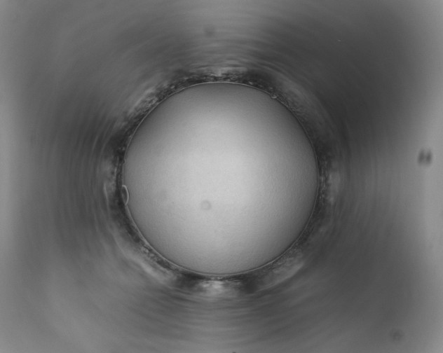 X0000112210558200908211521