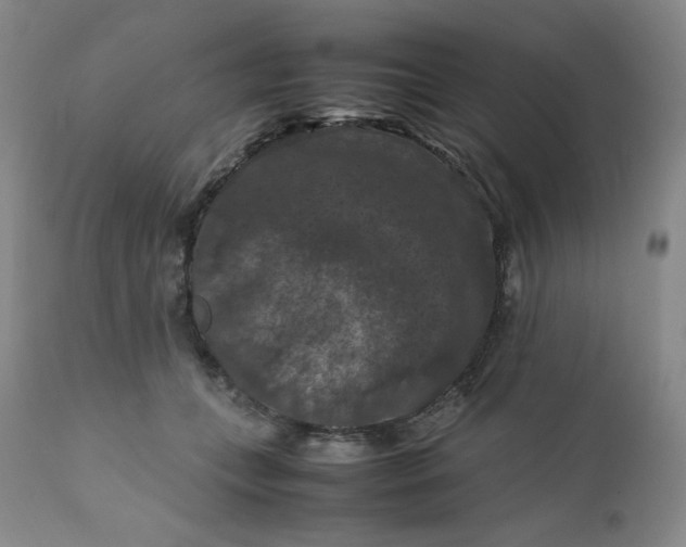 X0000112210559200908211521