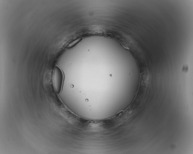 X0000112210560200908211521