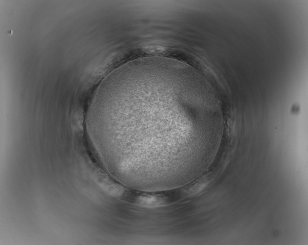 X0000112210561200908211521