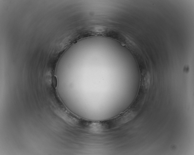 X0000112210562200908211521