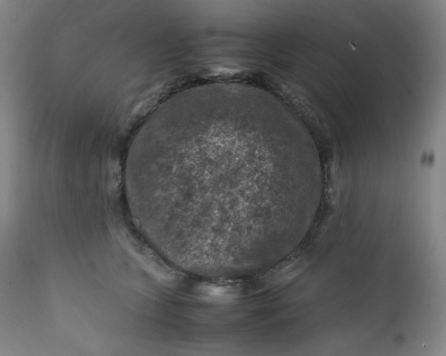 X0000112210563200908211521