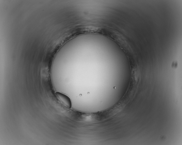 X0000112210564200908211521