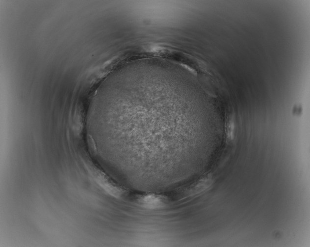 X0000112210566200908211521