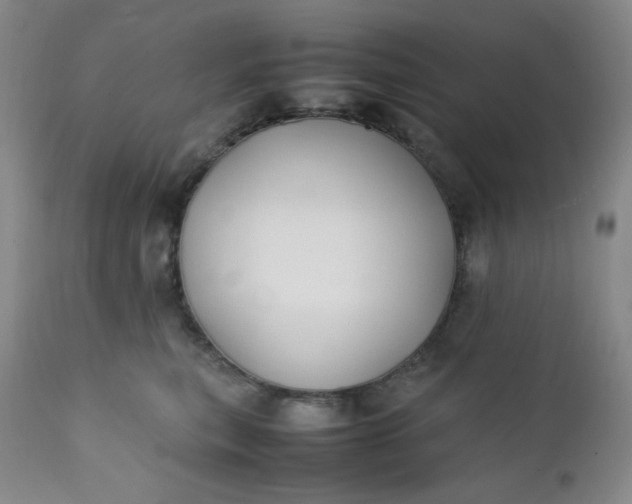 X0000112210567200908211521