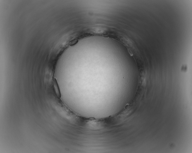 X0000112210568200908211521