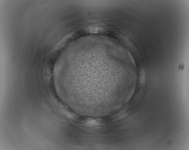 X0000112210569200908211521