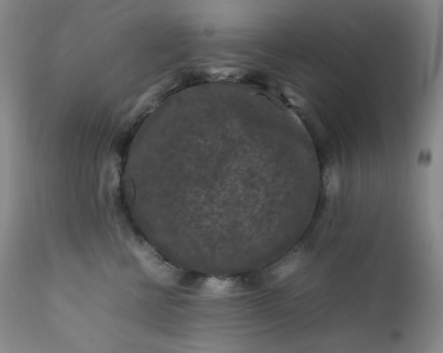 X0000112210570200908211521