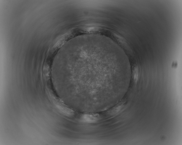 X0000112210571200908211521