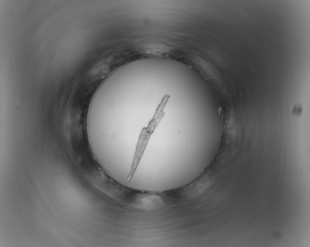 X0000112210572200908211521