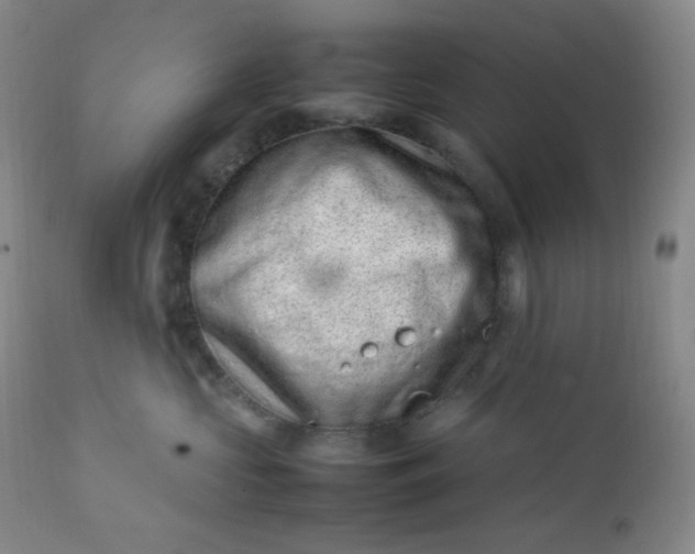 X0000112210573200908211521