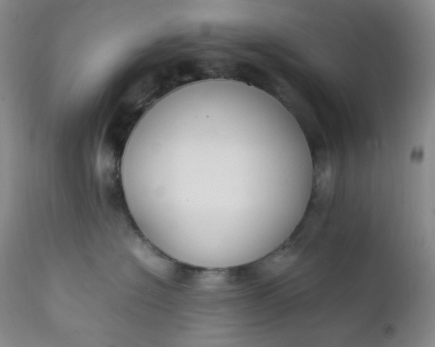 X0000112210574200908211521