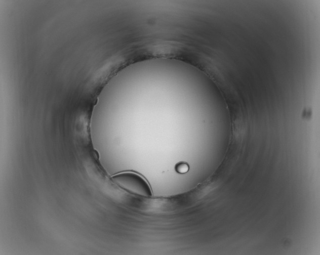 X0000112210575200908211521