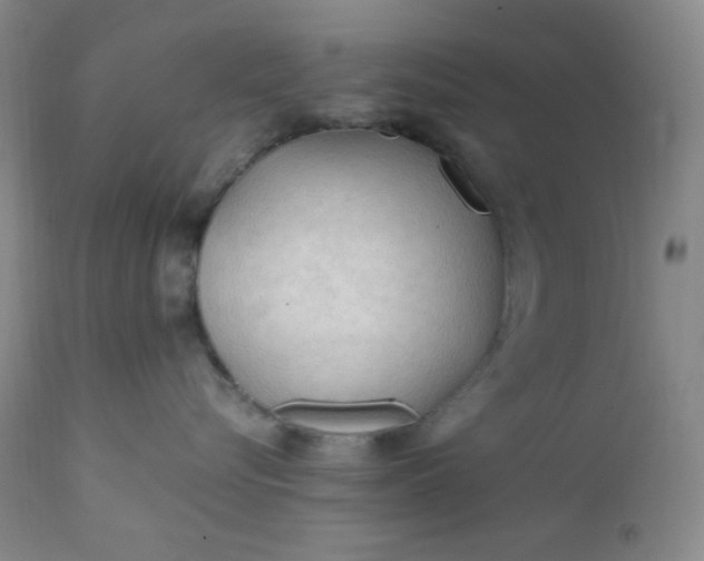 X0000112210576200908211521