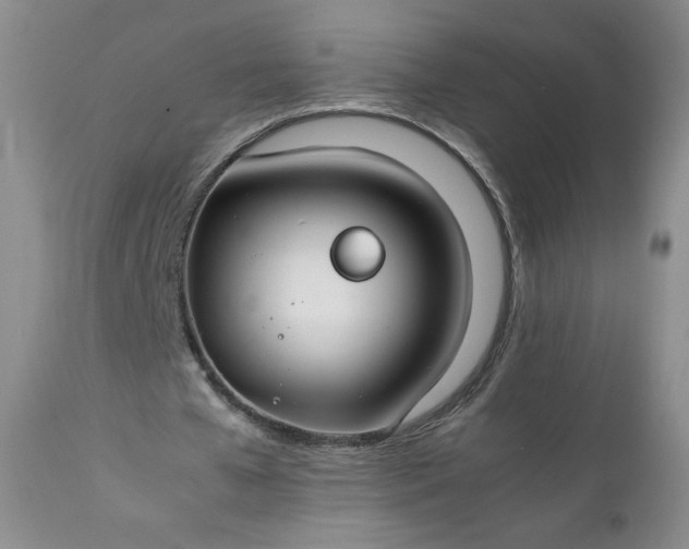 X0000112210577200908211520