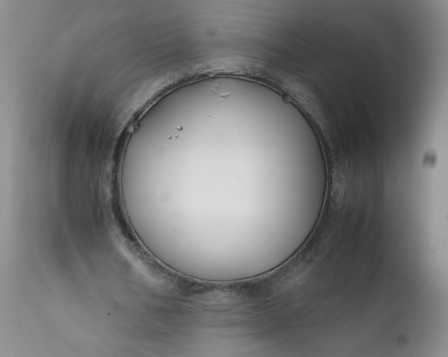 X0000112210578200908211520