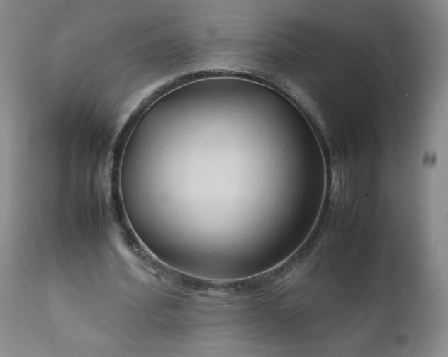 X0000112210580200908211520