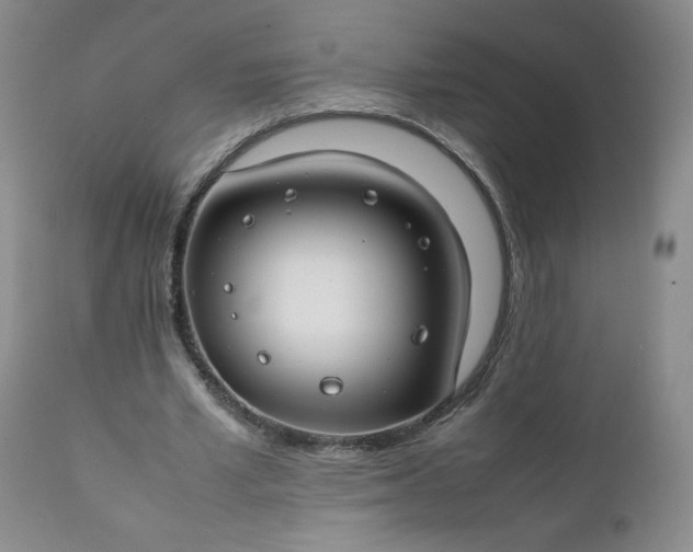 X0000112210581200908211520